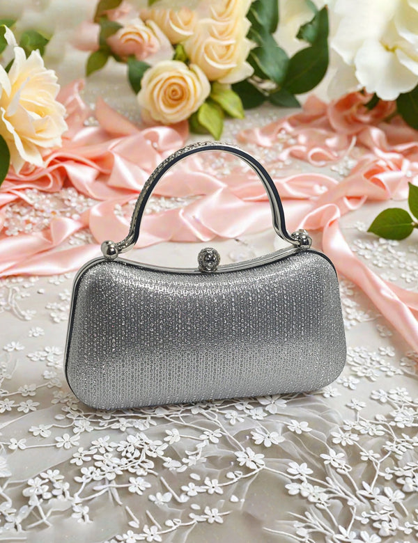 Silver Fancy Clutch