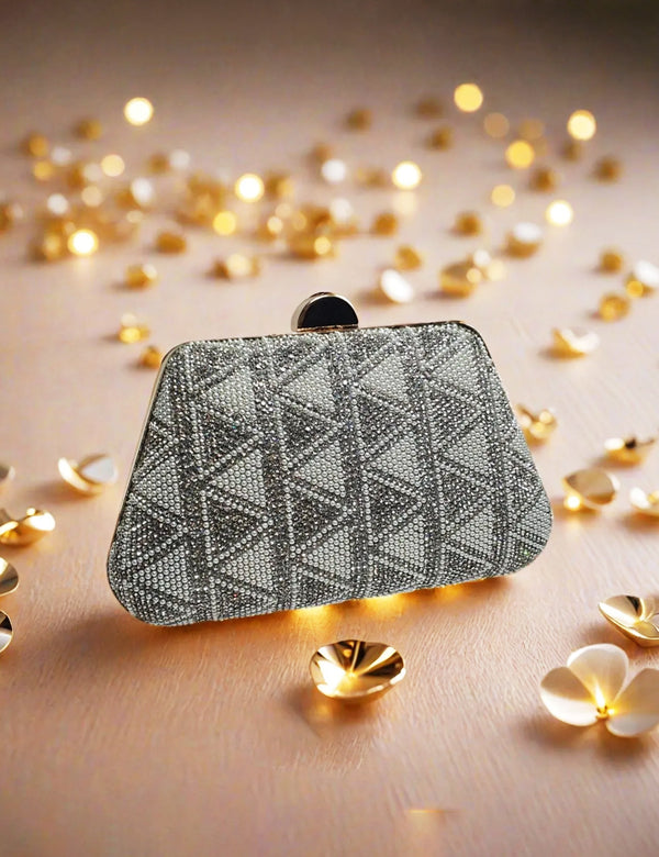Silver Fancy Clutch