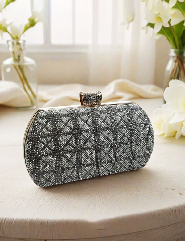 Silver Fancy Clutch