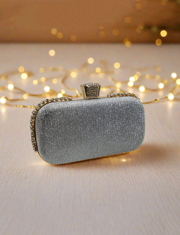 Silver | Fancy Clutch for women