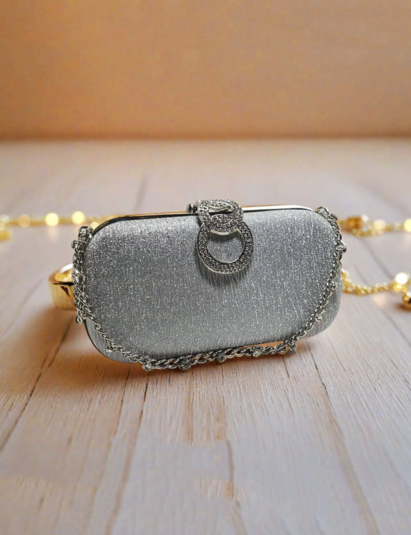 Silver | Fancy Clutch for women