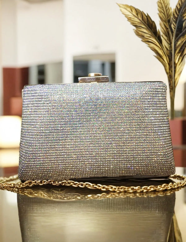 silver | Fancy Clutch for women