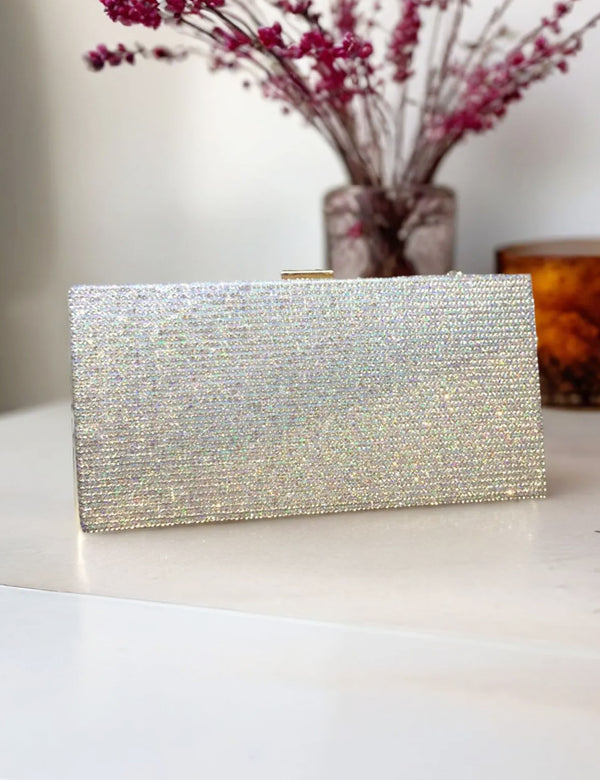 silver | Fancy Clutch for women