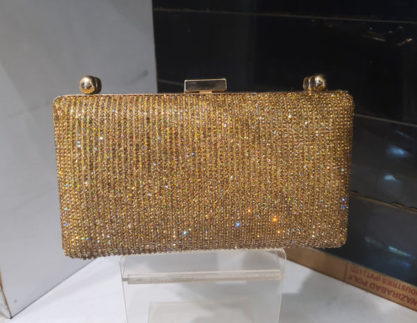 Fancy Clutch for women