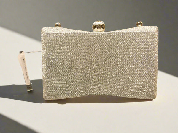 Silver | Fancy Clutch for women