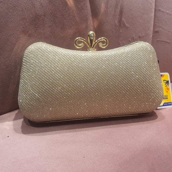 Fancy Clutch for women