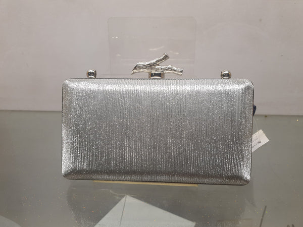 Silver | Fancy Clutch for women