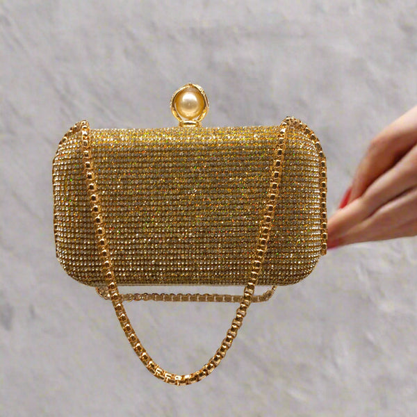 Fancy Clutch for women