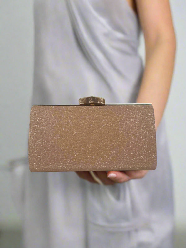 Fancy Clutch for women