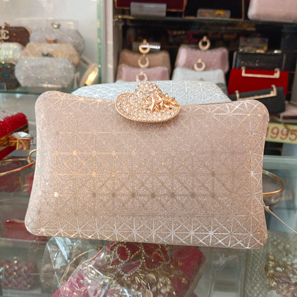 Fancy Clutch for women