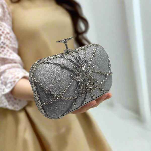 Fancy Clutch for women